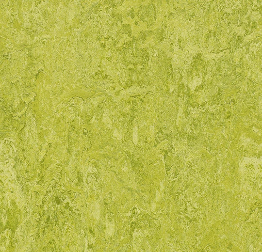 Mcs Sheet Marmoleum MCS 2.0 mm Sheet – BuildGreenToday
