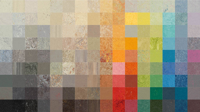 Cinch Color Marmoleum Cinch Loc Seal - Squares – BuildGreenToday